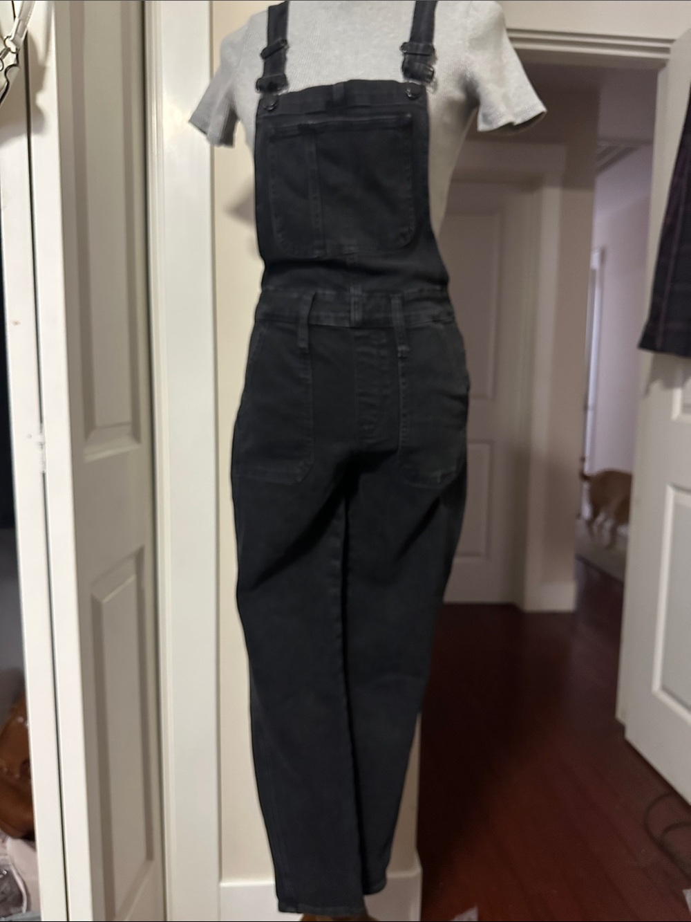 Madewell Skinny Overalls in Lunar Wash Black Denim Size Small